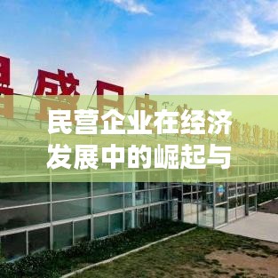 民營企業(yè)在經(jīng)濟發(fā)展中的崛起與貢獻，新聞頭條揭秘其力量