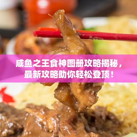 咸魚之王食神圖冊攻略揭秘，最新攻略助你輕松登頂！