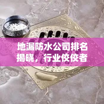 地漏防水公司排名揭曉，行業(yè)佼佼者深度解析