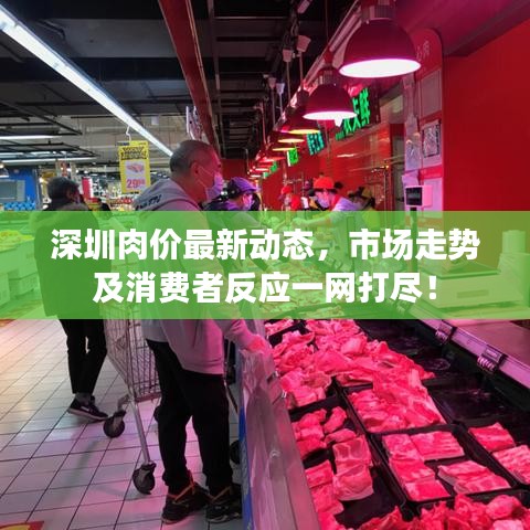 深圳肉價(jià)最新動態(tài)，市場走勢及消費(fèi)者反應(yīng)一網(wǎng)打盡！