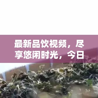 2025年5月 第23頁