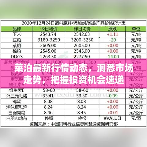 菜泊最新行情動(dòng)態(tài)，洞悉市場走勢(shì)，把握投資機(jī)會(huì)速遞