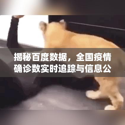 揭秘百度數(shù)據(jù)，全國(guó)疫情確診數(shù)實(shí)時(shí)追蹤與信息公開