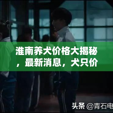 淮南養(yǎng)犬價(jià)格大揭秘，最新消息，犬只價(jià)格查詢！