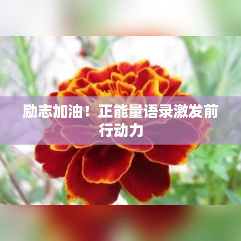 勵(lì)志加油！正能量語錄激發(fā)前行動(dòng)力