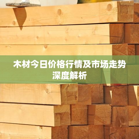 第31頁