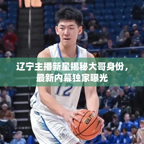 遼寧主播新星揭秘大哥身份，最新內(nèi)幕獨家曝光