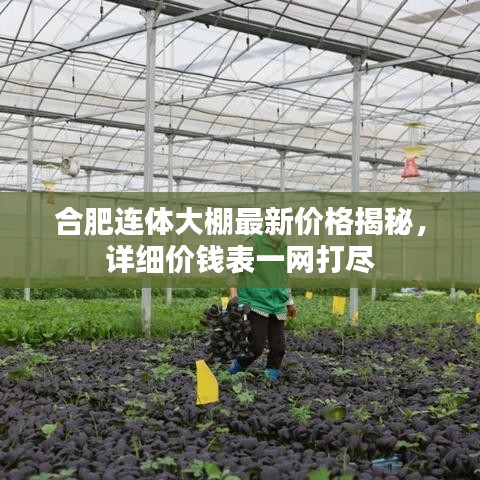 合肥連體大棚最新價格揭秘，詳細價錢表一網(wǎng)打盡