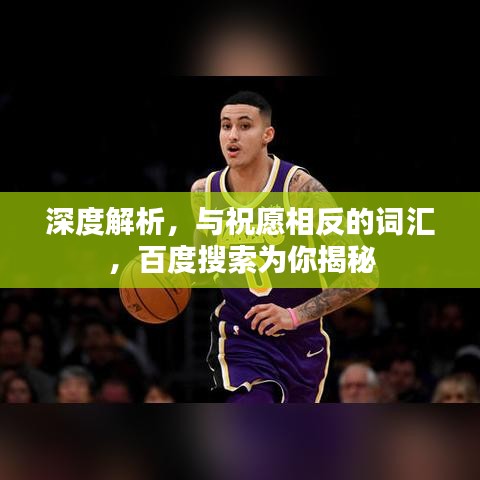 深度解析，與祝愿相反的詞匯，百度搜索為你揭秘