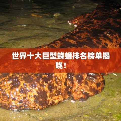 新聞動態(tài) 第26頁