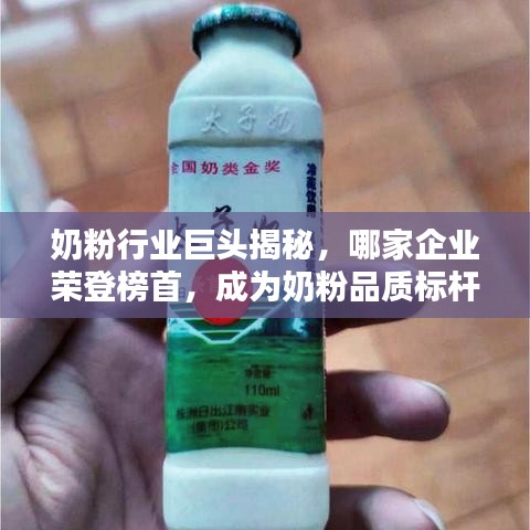 奶粉行業(yè)巨頭揭秘，哪家企業(yè)榮登榜首，成為奶粉品質(zhì)標(biāo)桿？