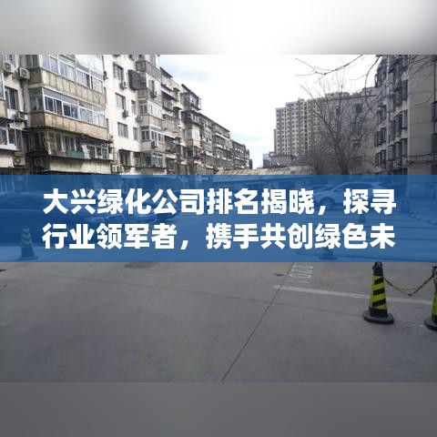 大興綠化公司排名揭曉，探尋行業(yè)領(lǐng)軍者，攜手共創(chuàng)綠色未來