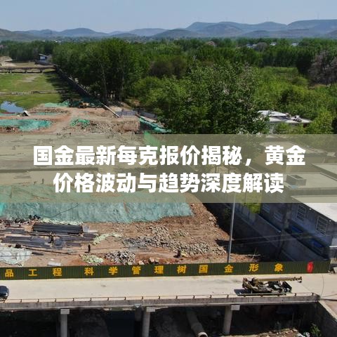 國金最新每克報價揭秘，黃金價格波動與趨勢深度解讀