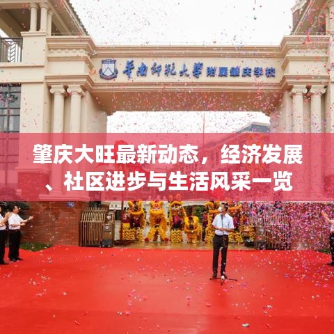 肇慶大旺最新動態(tài)，經濟發(fā)展、社區(qū)進步與生活風采一覽