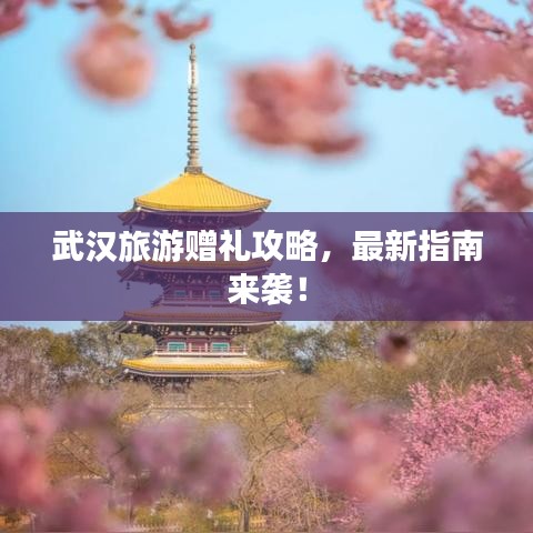 武漢旅游贈禮攻略，最新指南來襲！