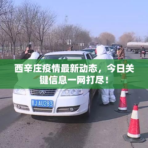 西辛莊疫情最新動(dòng)態(tài)，今日關(guān)鍵信息一網(wǎng)打盡！