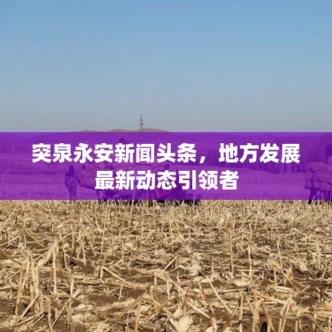 2025年5月31日 第37頁