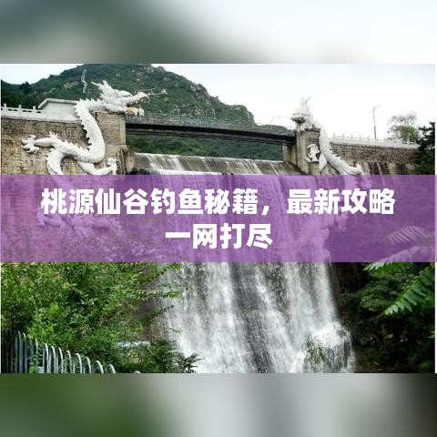 桃源仙谷釣魚秘籍，最新攻略一網(wǎng)打盡