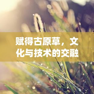 賦得古原草，文化與技術的交融之美探索