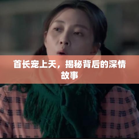 首長(zhǎng)寵上天，揭秘背后的深情故事