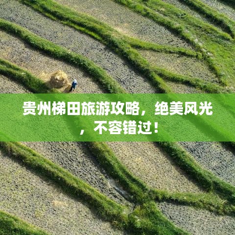 貴州梯田旅游攻略，絕美風(fēng)光，不容錯(cuò)過(guò)！