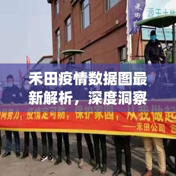 禾田疫情數(shù)據(jù)圖最新解析，深度洞察，全面掌握最新動態(tài)