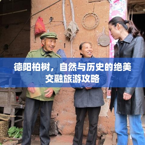 德陽柏樹，自然與歷史的絕美交融旅游攻略