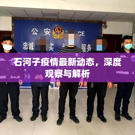 石河子疫情最新動態(tài)，深度觀察與解析