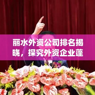 麗水外資公司排名揭曉，探究外資企業(yè)蓬勃發(fā)展態(tài)勢