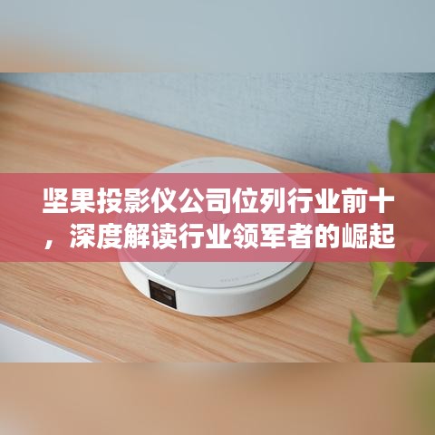 堅(jiān)果投影儀公司位列行業(yè)前十，深度解讀行業(yè)領(lǐng)軍者的崛起之路
