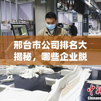 邢臺(tái)市公司排名大揭秘，哪些企業(yè)脫穎而出？