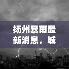 揚州暴雨最新消息，城市應(yīng)對策略與防范措施全面解析