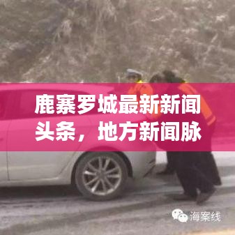 鹿寨羅城最新新聞頭條，地方新聞脈搏探尋