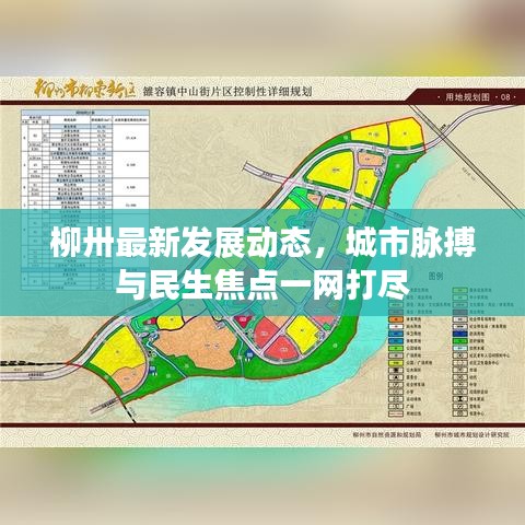 柳卅最新發(fā)展動態(tài)，城市脈搏與民生焦點一網(wǎng)打盡