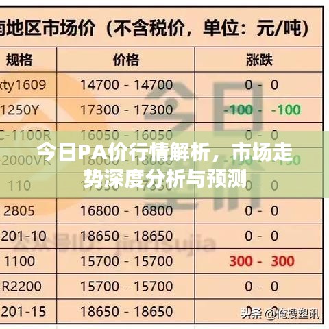 今日PA價行情解析，市場走勢深度分析與預(yù)測
