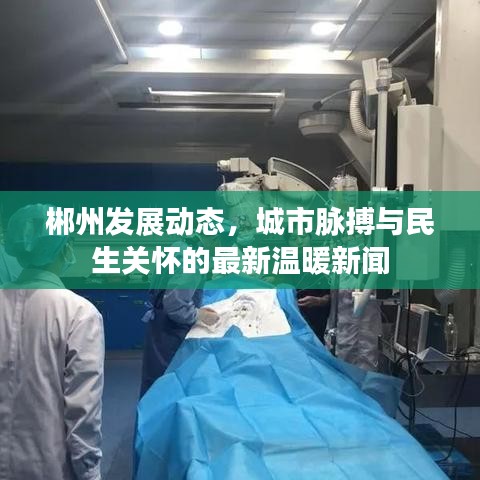 郴州發(fā)展動態(tài)，城市脈搏與民生關(guān)懷的最新溫暖新聞