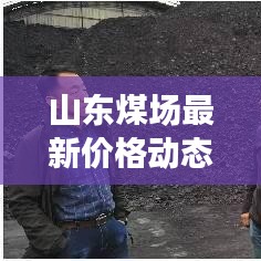 山東煤場最新價格動態(tài)，今日行情、市場趨勢及影響因素全解析