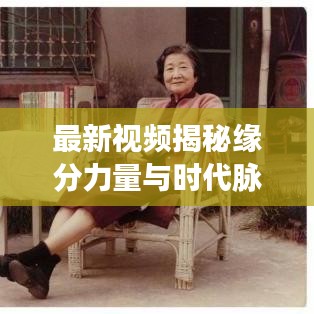 最新視頻揭秘緣分力量與時代脈搏，探尋情感與機(jī)遇的交匯點(diǎn)