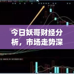 今日妖哥財經(jīng)分析，市場走勢深度解讀與投資策略探討