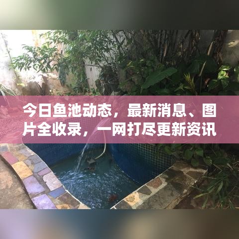 2025年6月1日 第46頁