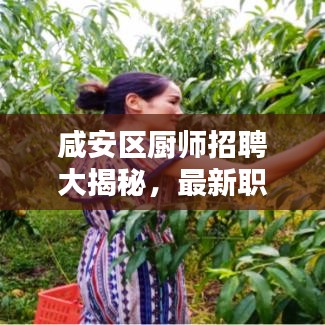 咸安區(qū)廚師招聘大揭秘，最新職位信息匯總