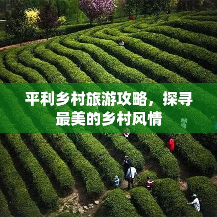 平利鄉(xiāng)村旅游攻略，探尋最美的鄉(xiāng)村風(fēng)情