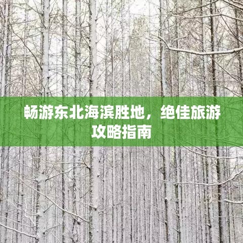 暢游東北海濱勝地，絕佳旅游攻略指南