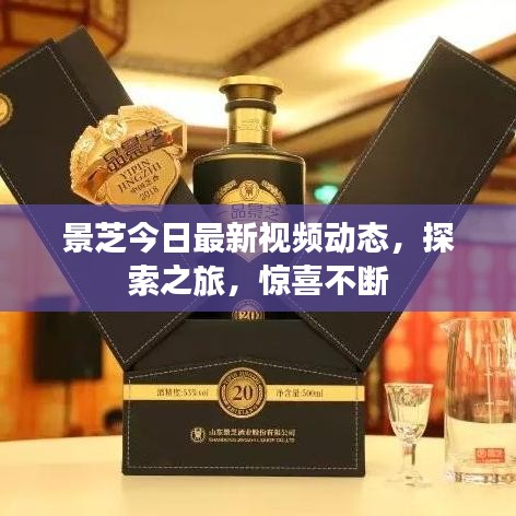 景芝今日最新視頻動(dòng)態(tài)，探索之旅，驚喜不斷