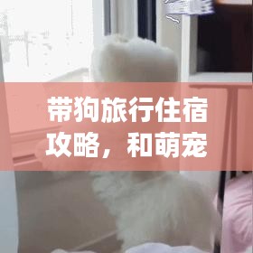 帶狗旅行住宿攻略，和萌寵共度愜意時光