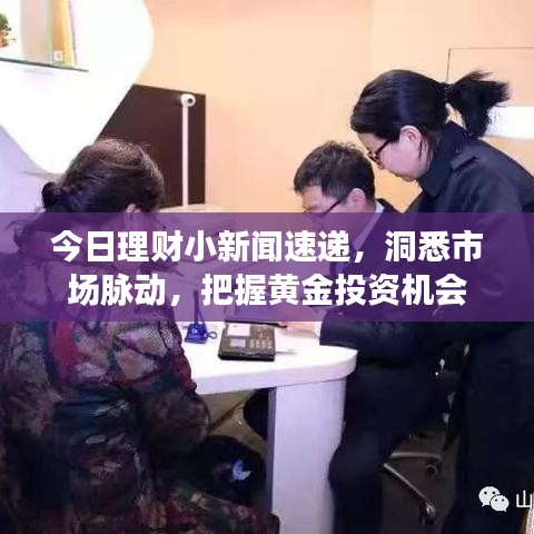 今日理財(cái)小新聞速遞，洞悉市場(chǎng)脈動(dòng)，把握黃金投資機(jī)會(huì)