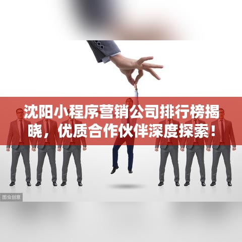 沈陽小程序營銷公司排行榜揭曉，優(yōu)質(zhì)合作伙伴深度探索！