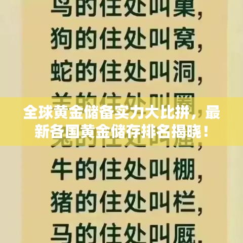 全球黃金儲備實力大比拼，最新各國黃金儲存排名揭曉！
