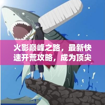 火影巔峰之路，最新快速開荒攻略，成為頂尖忍者指南