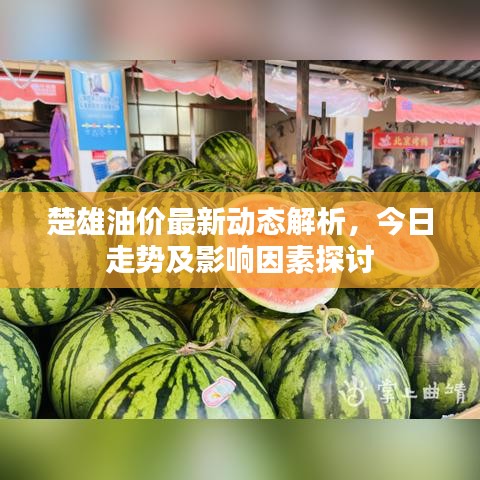楚雄油價最新動態(tài)解析，今日走勢及影響因素探討